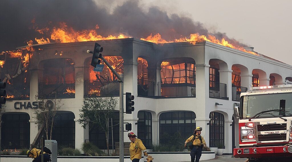 The Palisades Fire, January 8, 2025. (Wikimedia/CAL FIRE)