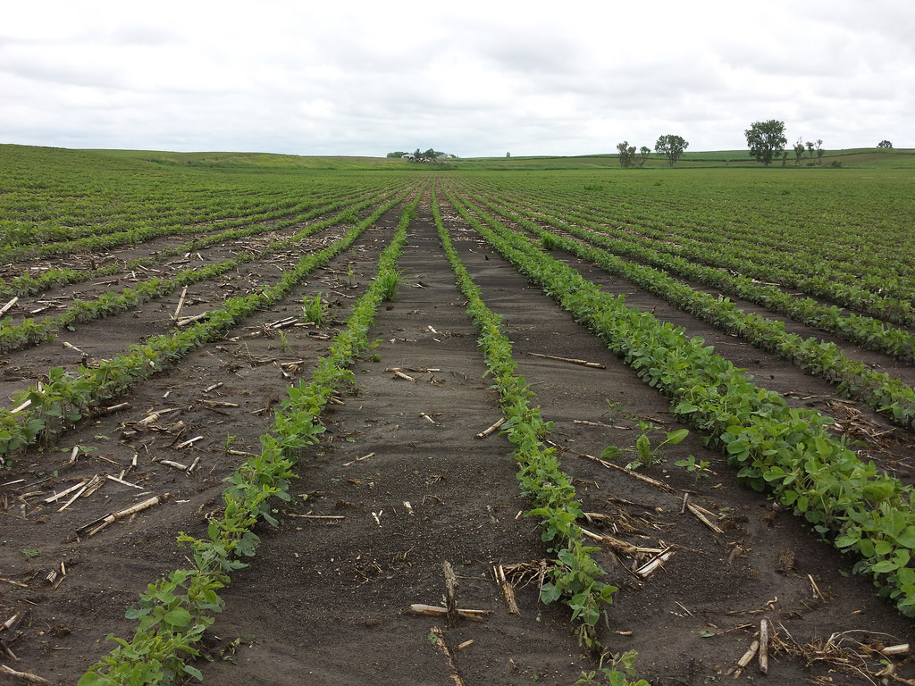 https://www.flickr.com/photos/nrcs_south_dakota/14356799597