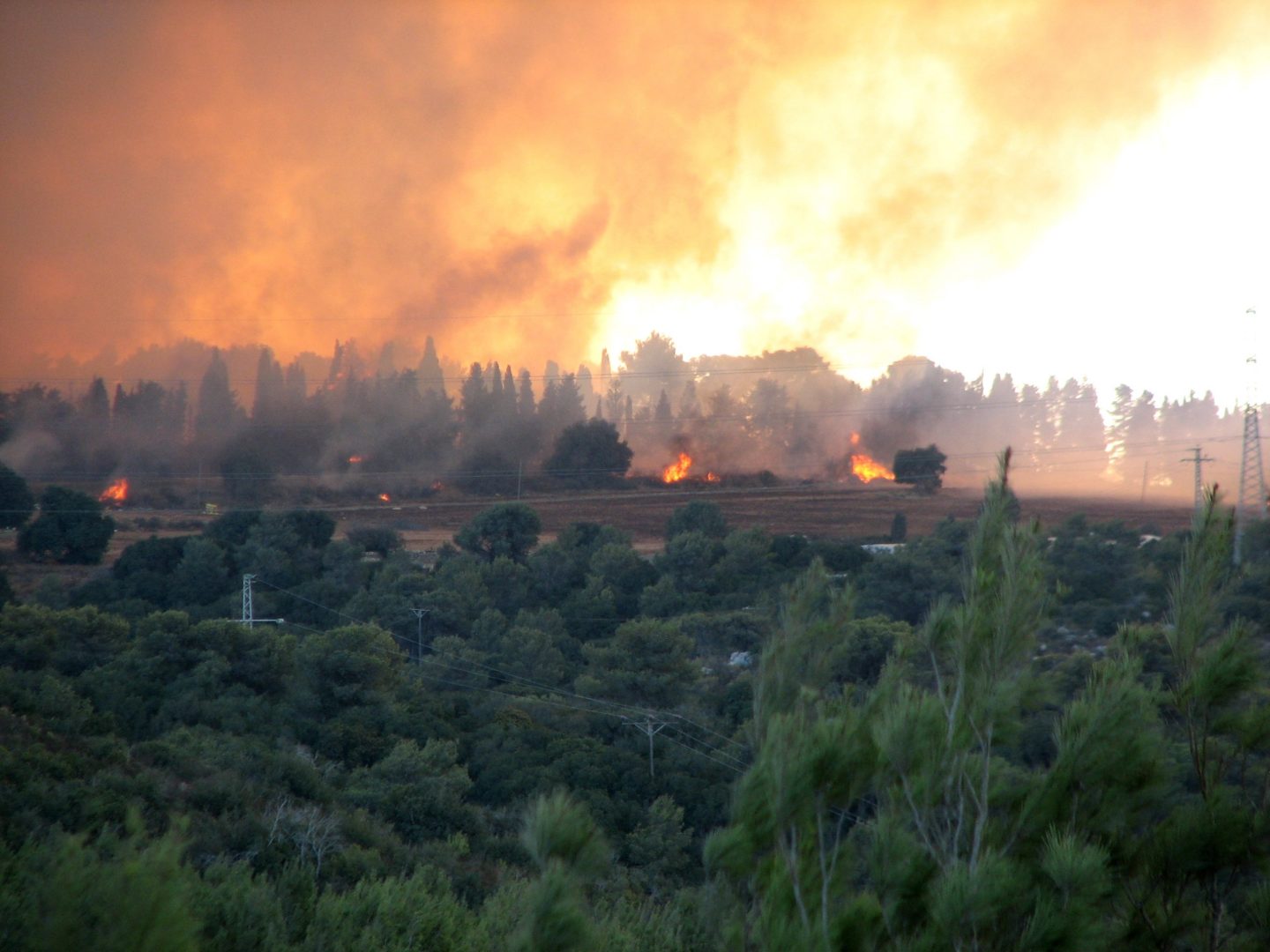 https://commons.wikimedia.org/wiki/File:2010_Carmel_forest_-_fire_near_Isfiya.JPG