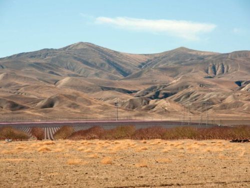 Dry fields and bare trees near San Joaquin, California