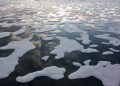 Arctic Emits More Carbon Than It Stores as Warming Hits Canada’s Winter Economy