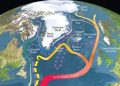 Critical Atlantic Ocean Current Likely to Weaken, Not Collapse, This Century