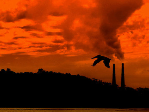 Canada Reports 8.5% Emission Reduction Through 2023, Still Far Short of 2030 Target