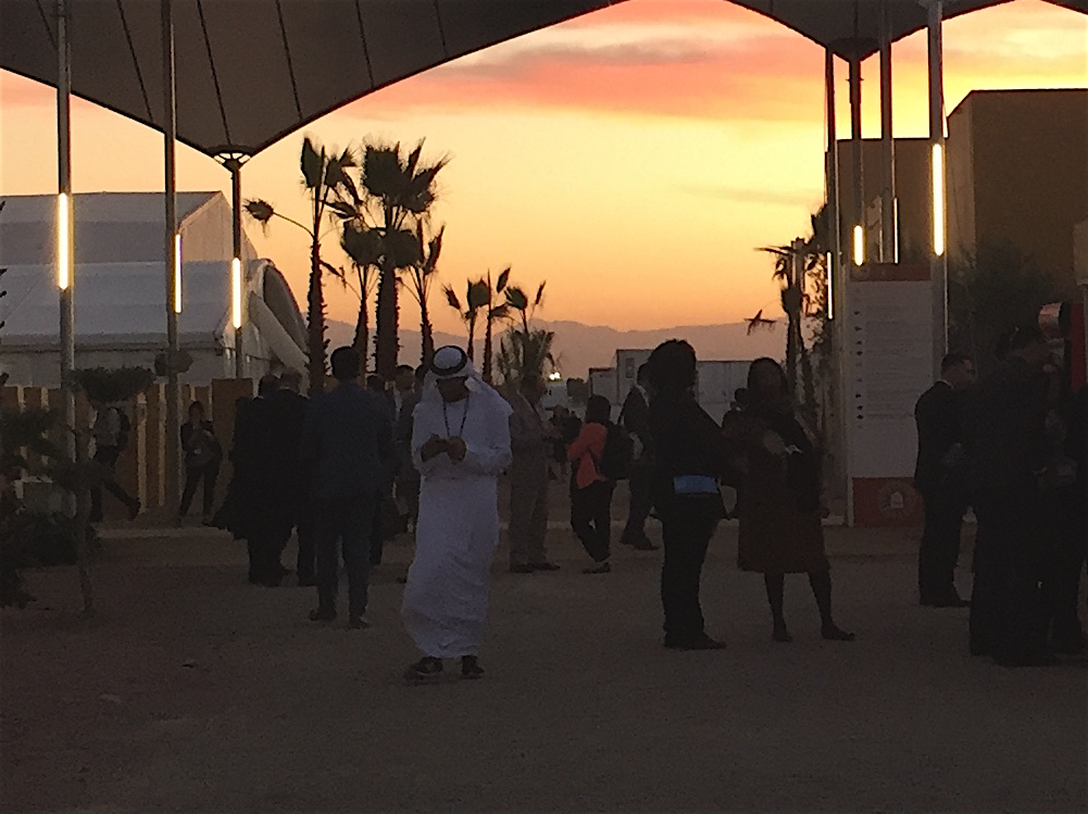 Mitchell Beer/COP 22