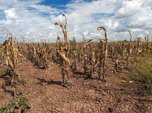 U.S. Department of Agriculture/Flickr