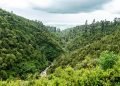 Natural Forest Regeneration Reverses Drought, Helps Rebuild Communities in Ethiopia