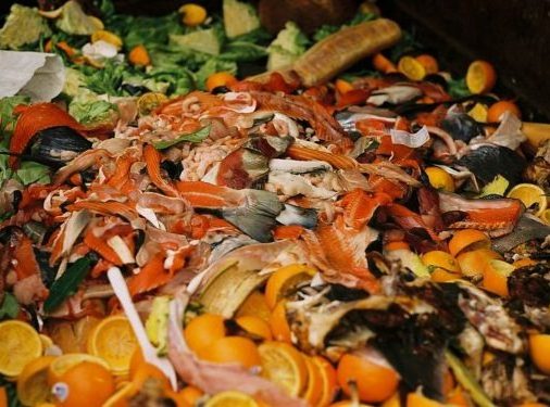 B.C., Alberta Companies Look to Produce Renewable Gas from Organic Waste