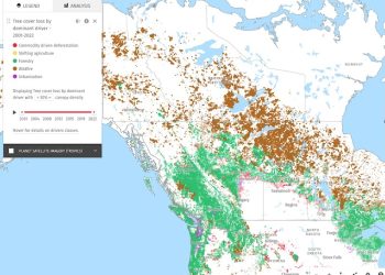 Global Forest Watch via North Arrow