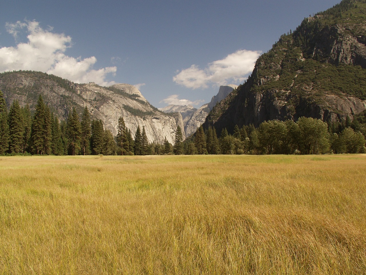 Restoring Nature Delivers Huge Economic Dividends and Canadians Are Onboard, New Report Says