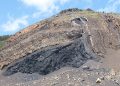 77% of Albertans Oppose Coal Mining as Province Lifts Moratorium