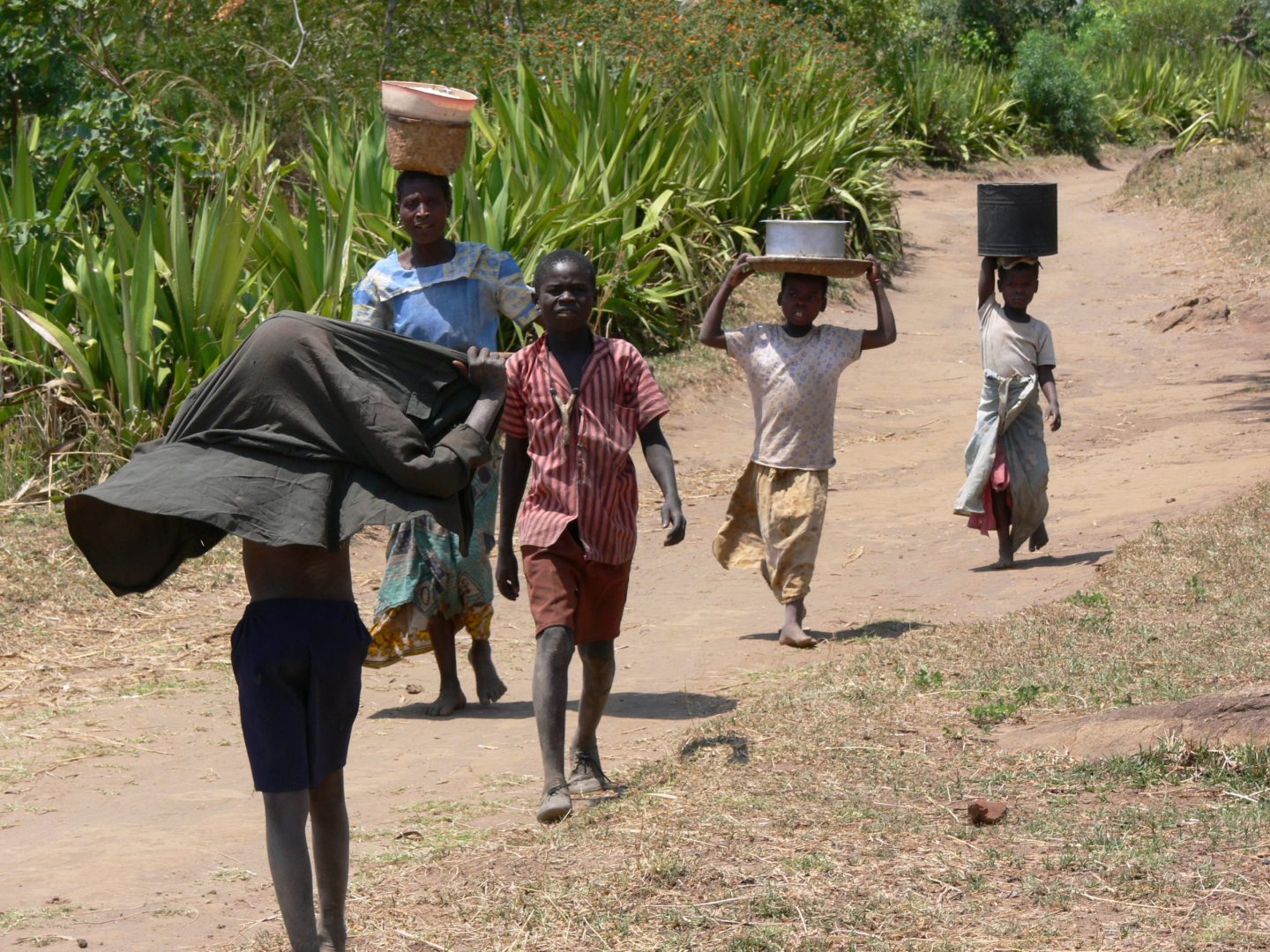 https://commons.wikimedia.org/wiki/File:Hauling_water_in_Malawi.jpg