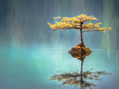 Faye Cornish/Unsplash