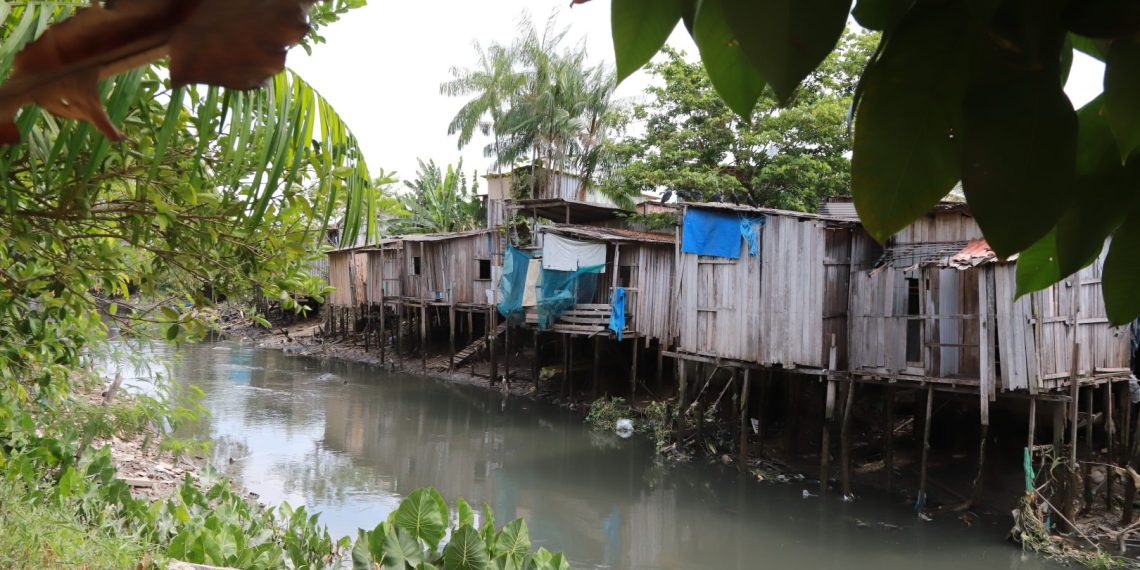 The Tucunduba creek flows into the Guamá River and is part of the recovery projects for COP30, which will be held in Belém.
(Photo: Paulo Santos / Panamazônica, Sept 2024)