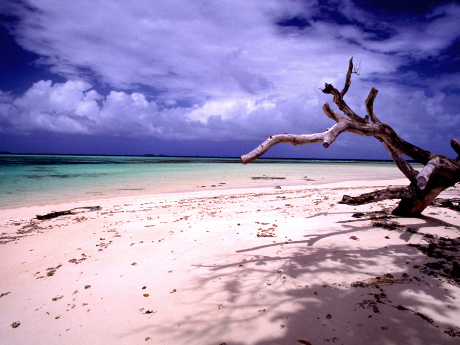 https://en.wikipedia.org/wiki/Laura,_Marshall_Islands