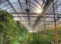 Montreal Shapes the Urban Farm of the Future