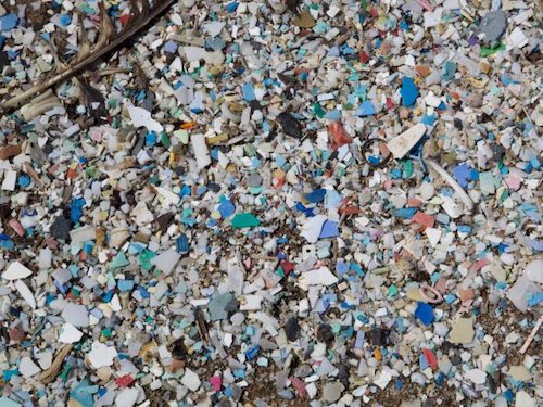 Plastics Industry ‘Fighting for its Life’ as Ottawa Treaty Talks Draw to a Close
