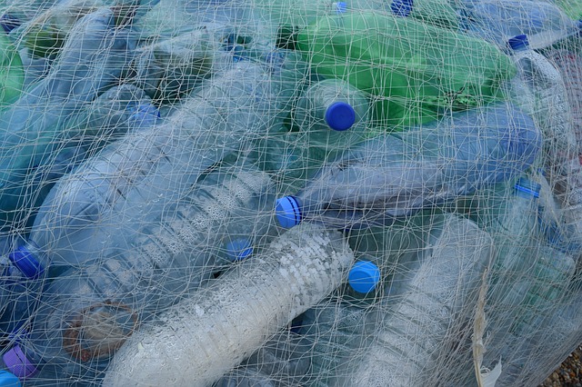 https://pixabay.com/en/plastic-bottles-fishing-net-netting-388679/