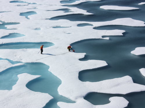 https://en.wikipedia.org/wiki/Sea_ice