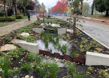 Photo: Cherie Xiao, Lead Landscape Architect and Senior Project Manager at the City of Vancouver, Oct. 19, 2024.