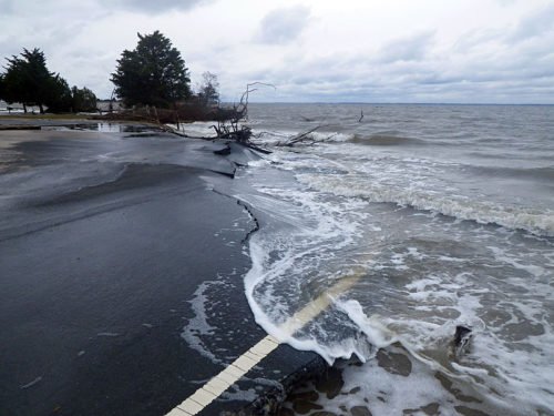 NPS Climate Change Response/Wikimedia Commons