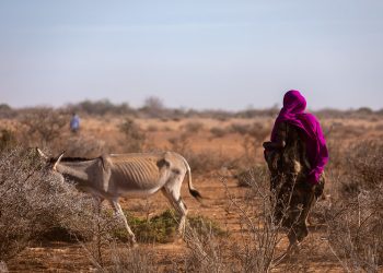 UNICEF Ethiopia/flickr