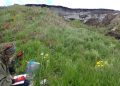 Warming May Help Permafrost Areas Store Carbon, Research Finds